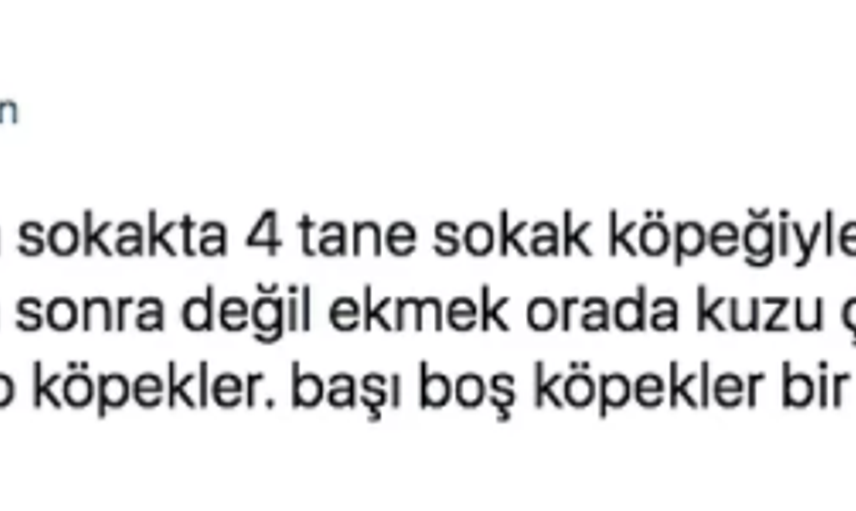 Köpekten Kaçarken Kamyon Çarpıp Hayatını Kaybetti: Ardından Akıl Almaz Paylaşımlar Yapıldı!