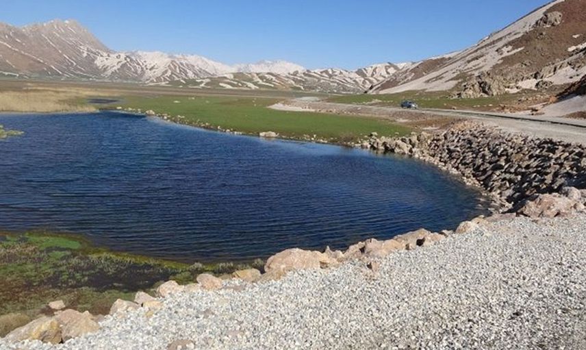 Terk ediyorlar