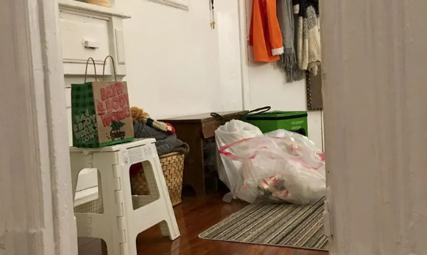 Saklanma Konusunda Profesyonelliğe Ulaşmış Sevimli Kedi