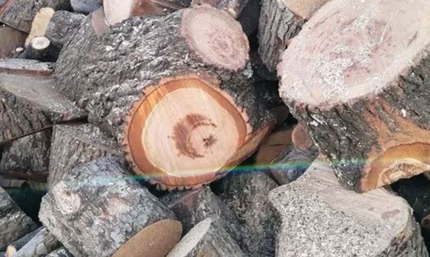 Kesilen Ağacın İçinden Türk Bayrağı Figürü Çıktı