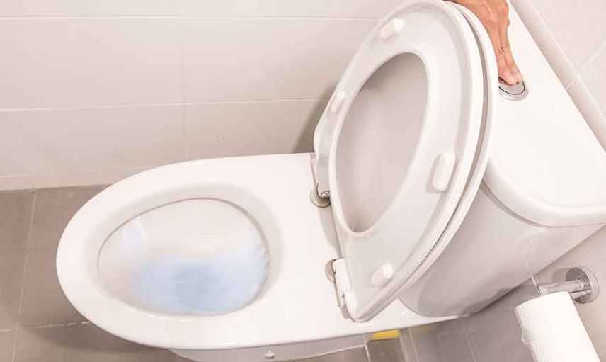 Birçok kişi bunu bilmiyor! Sifonu çektikten sonra klozetin kapağını kapatmamak o hastalığa neden oluyor