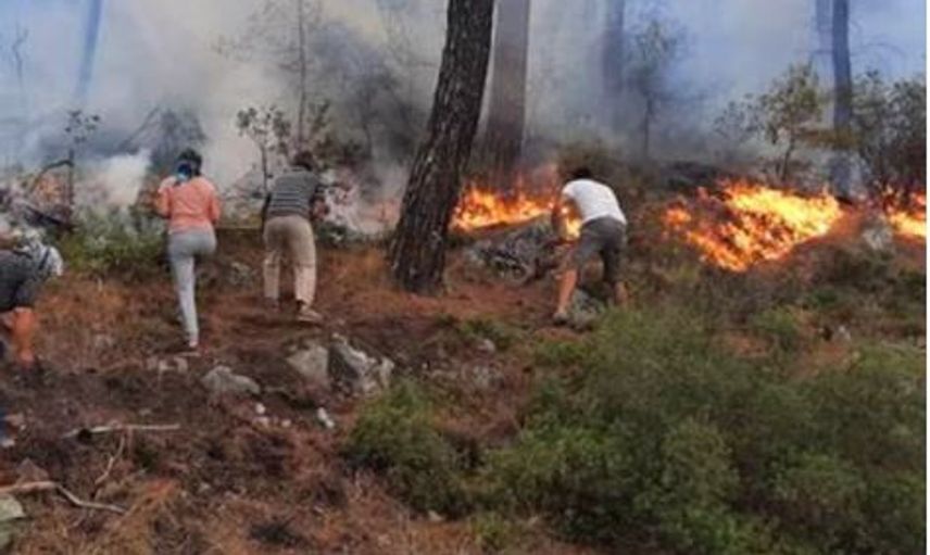 Orman Yangınlarında Canla Başla Çalışan Kahramanlar
