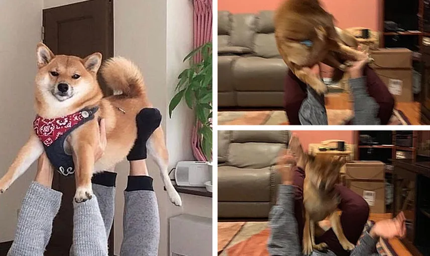 Gerçekliğin Beklentilerimizle Uyuşmadığını Gösteren 9 Durum