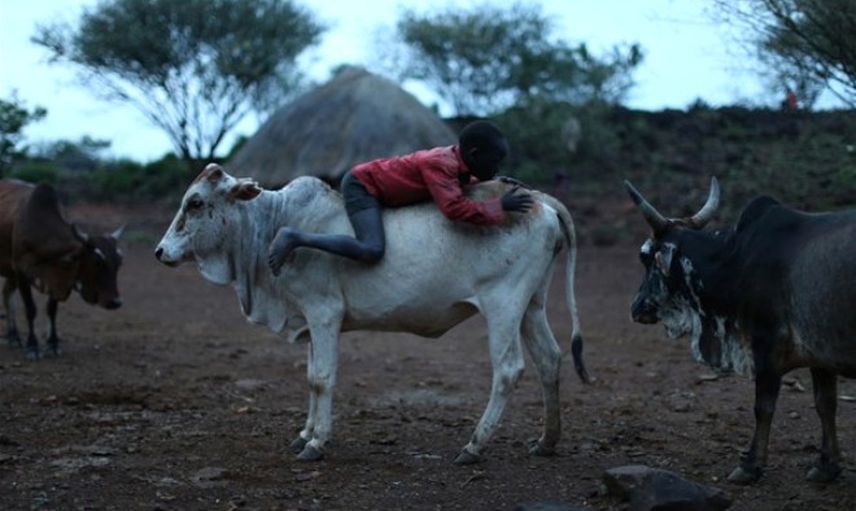 Kenya'nın İlginç Geleneği