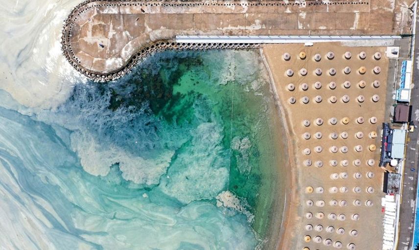 Korkutan Görüntü Caddebostan'dan Geldi! Müsilaj Arttı