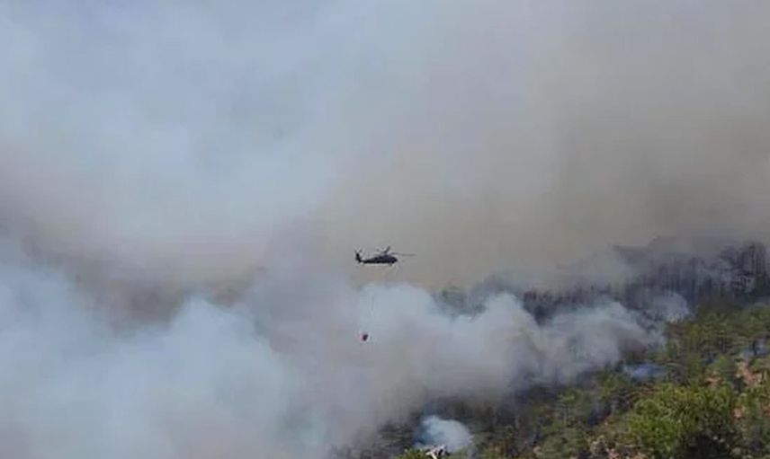 Köyceğiz ve Bodrum'da Çıkan Yangınlar Şiddetlendi