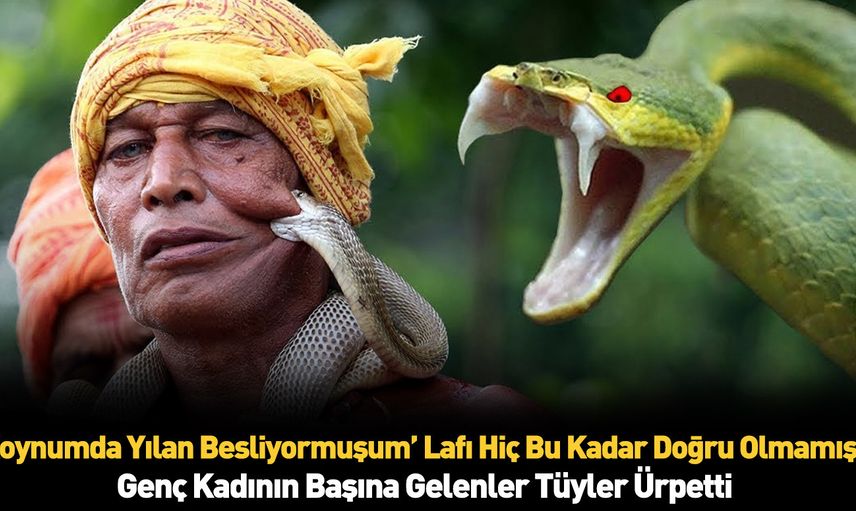 Koynunda beslediği yılan tarafından ısırıldı!