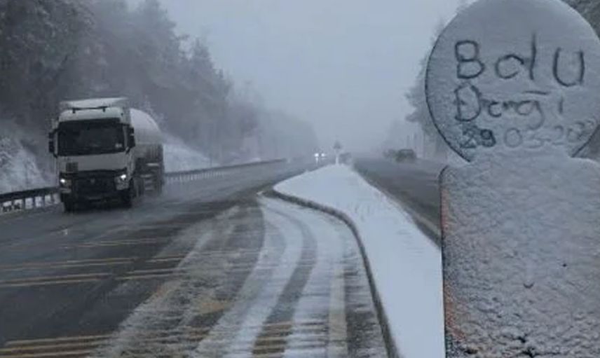 Bolu