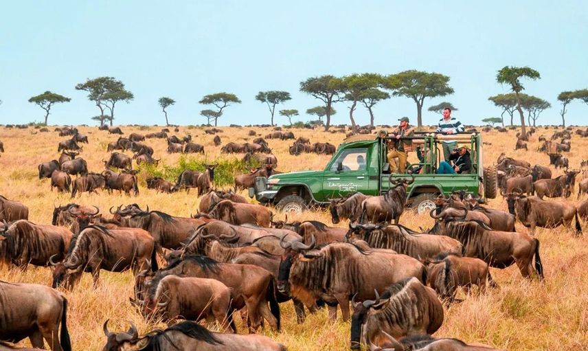 ANGOLA'DA YABANİ HAYAT