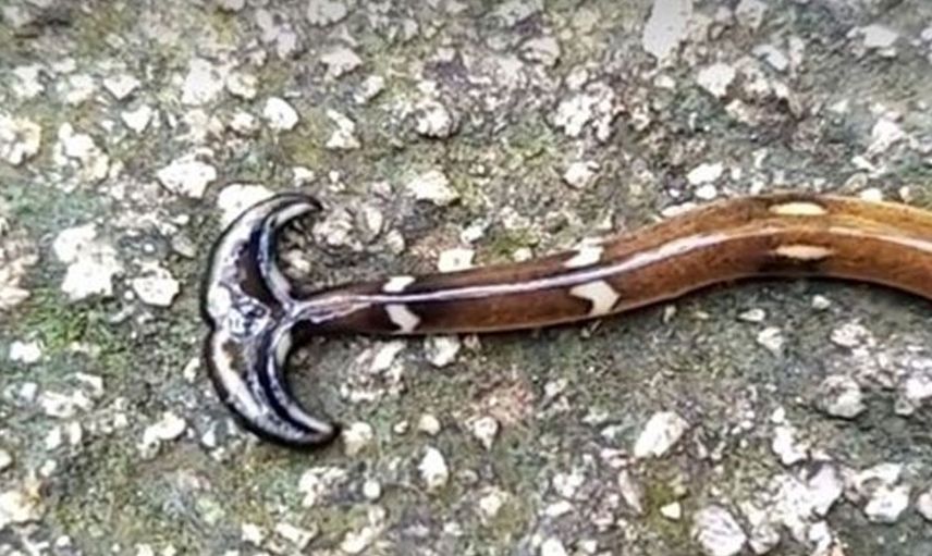 Yetkililer açıklama yaptı