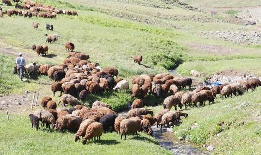 Yıllık 150 Bin Lira Geliri Var Ama Başvuran Yok!