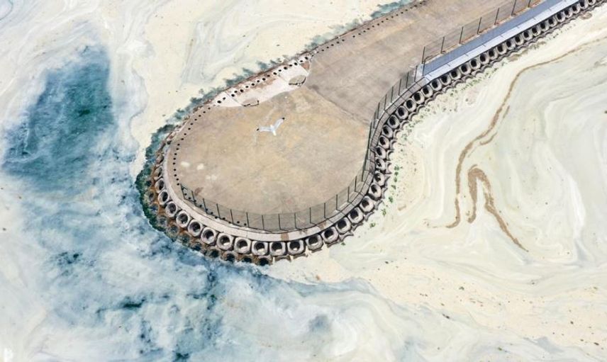 Korkutan Görüntü Caddebostan'dan Geldi! Müsilaj Arttı