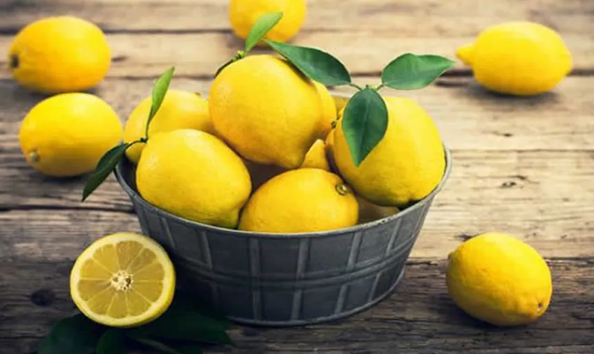 Limon Buzlukta Nasıl Saklanır?