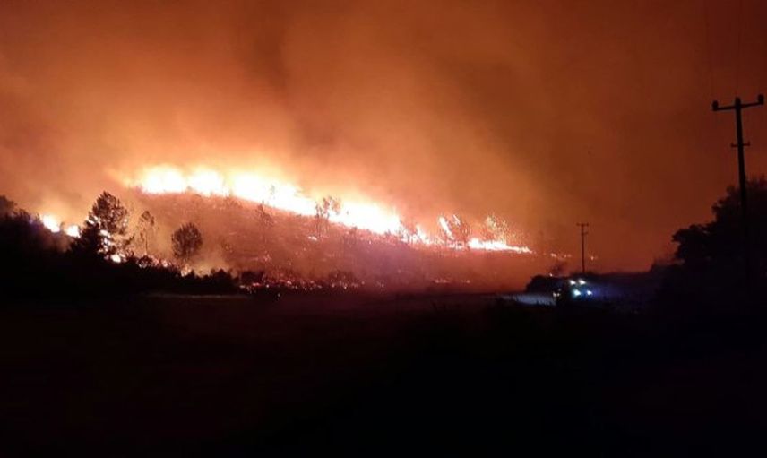Antalya'da Mucize: Yanan Alevlerin Arasında Doğdu!