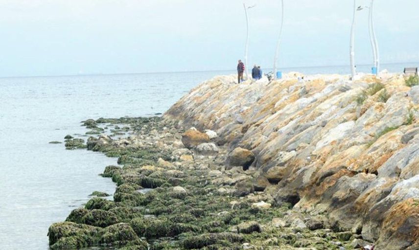 Marmara Denizi'ndeki Çekilmeler Deprem Belirtisi mi?