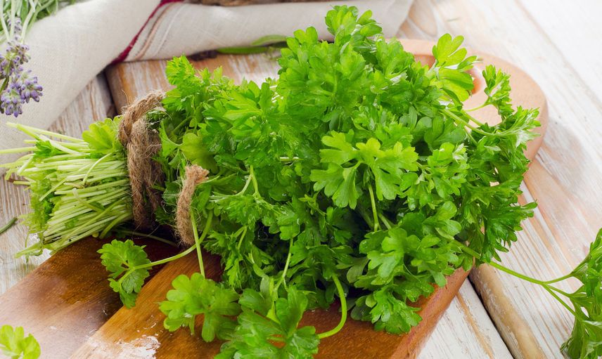 Maydanozda hangi vitaminler var, hangi hastalıklara iyi gelir? Maydanoz suyunun faydaları