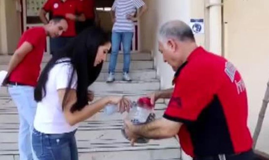 Mersin’de Bir Eve Giren 2 Metrelik Yılan Korku Dolu Anlar Yaşattı