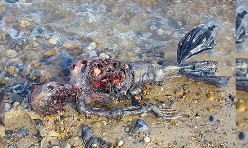 Deniz kızı cesedi kıyıya vurdu, halk ayağa kalktı!