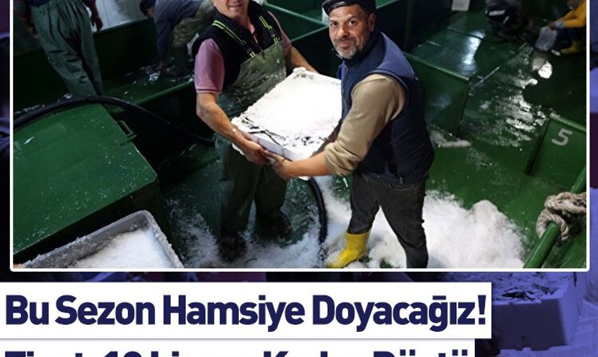 Denizde Hamsi Bereketi: Yüzlerce Kasa Hamsi Avlandı, Kilosu 10-15 TL'ye Düştü!