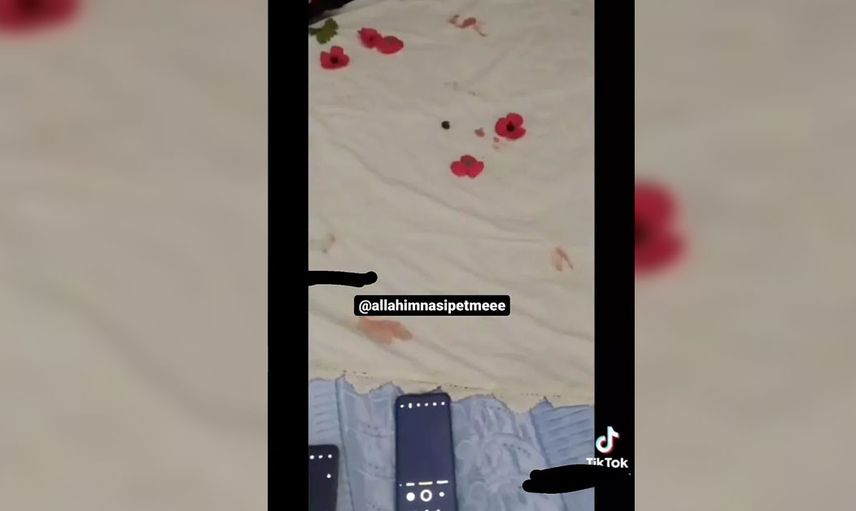 Her şeyi görenleri bile şaşırtacak fotoğraflar