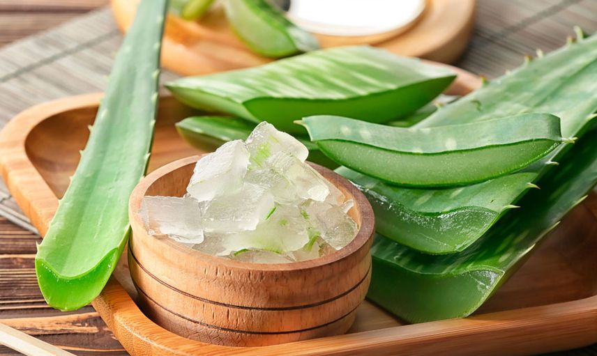 Aloe Vera