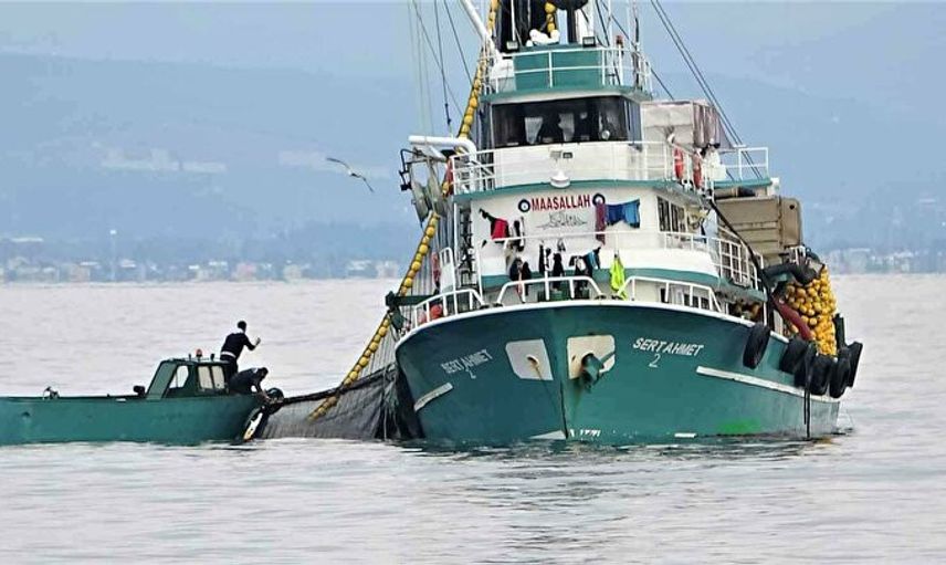 Böyle Bir Av Görülmedi! 40 Balıkçı Teknesi 40 Ton Hamsi Yakaladı