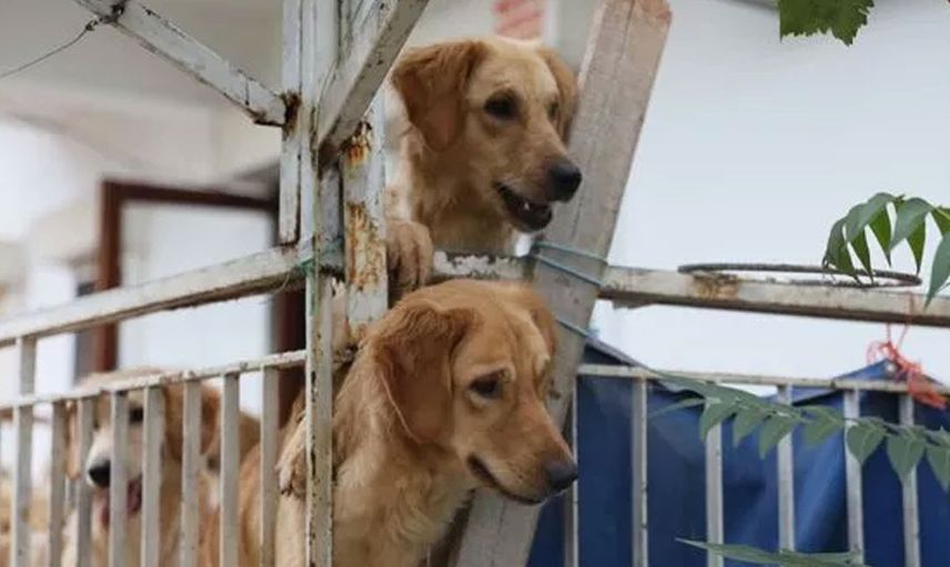 Antalya'da akıllara durgunluk veren olay! Günlerce kilitli tutuldukları evde birbirlerini yemek zorunda kaldılar
