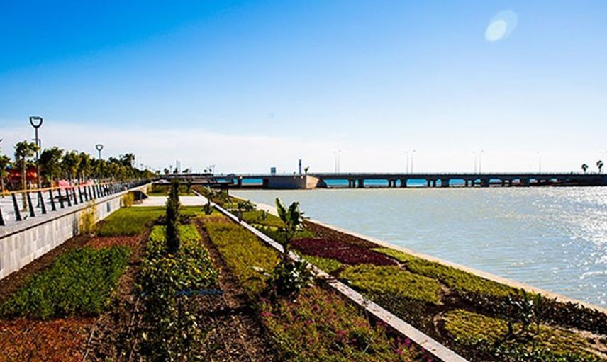 Antalya'da Akdeniz'e Dökülen Boğaçayı Yosuna Büründü