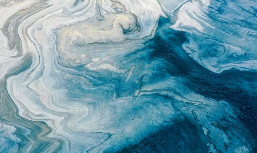 Korkutan Görüntü Caddebostan'dan Geldi! Müsilaj Arttı