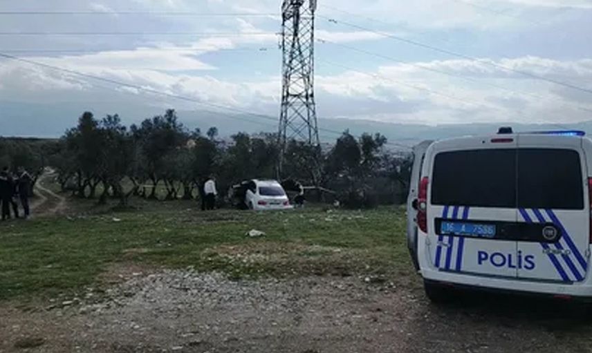 Antalya'da Uyuşturucu Maddeyi Muz Ağaçları İle Gizleme Operasyonuna Müdahale Edildi