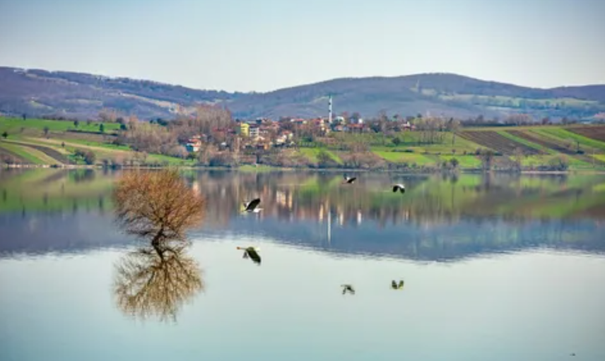 3. LADİK YAYLASI, SAMSUN