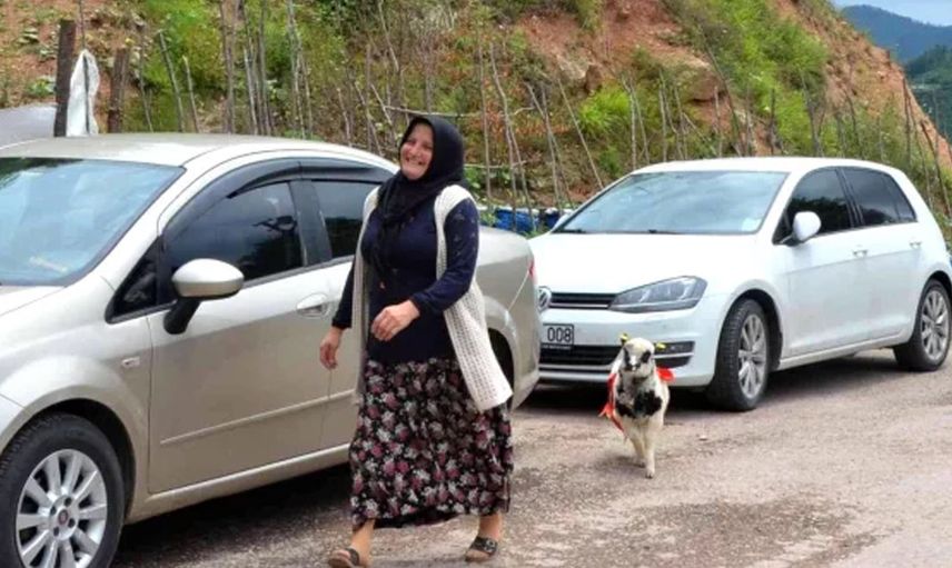Ailecek şaşkına döndüler