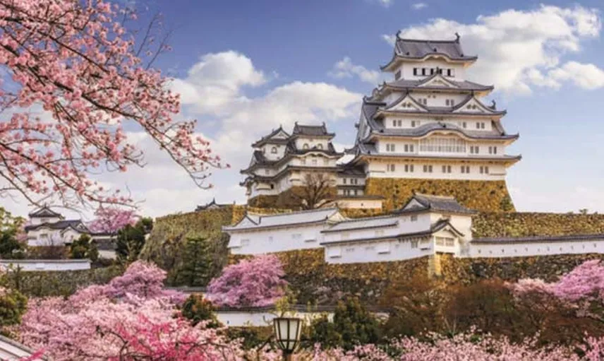 6) JAPONYA
