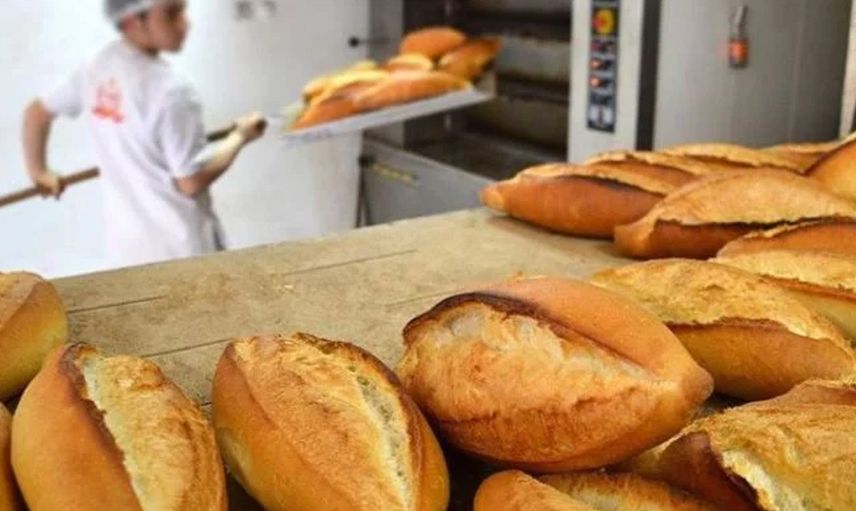Piknik yapmak isteyen aile hayatının şokunu yaşadı! Ekmeğin içinden çıkan fare mide bulandırdı ‘Artık ekmek yemiyorum’
