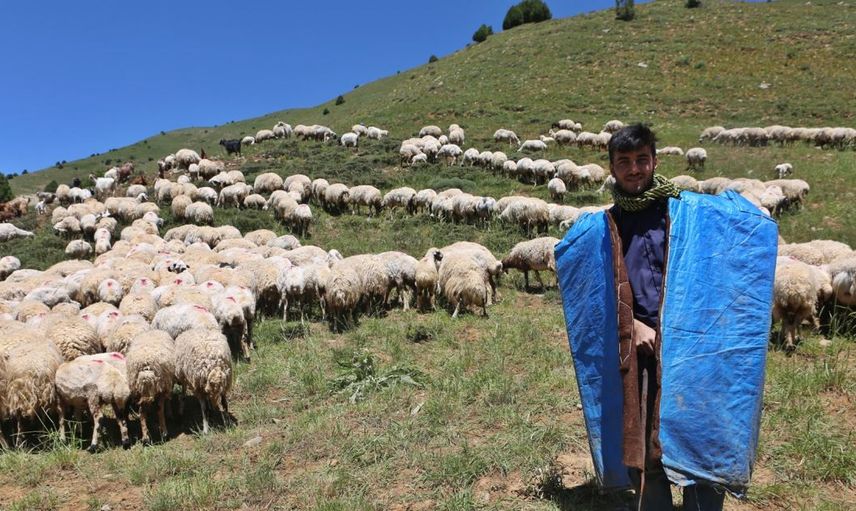 Zor Şartlar Altında Başarılı Olan Öğrenciler
