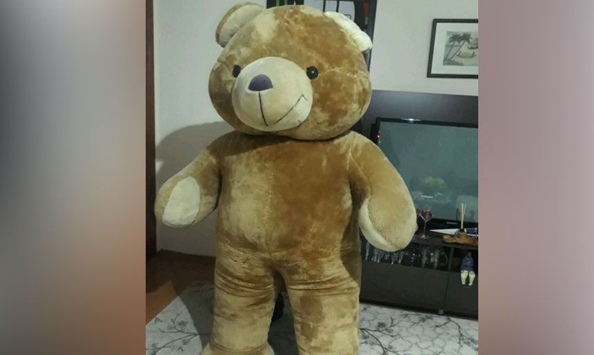 Astarın içine girmiş