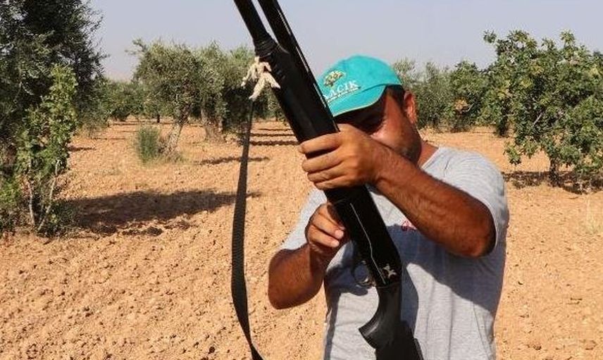 Antep Fıstığı İçin Tüfekle Nöbet Tutuyorlar