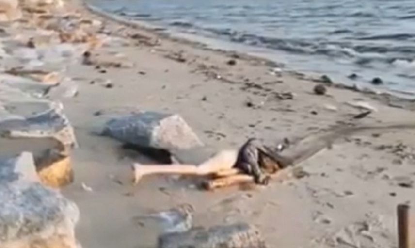Akılalmaz olay! Kıyıya vuran ölmüş kadın cesedi sandılar: Gerçek bambaşka çıktı