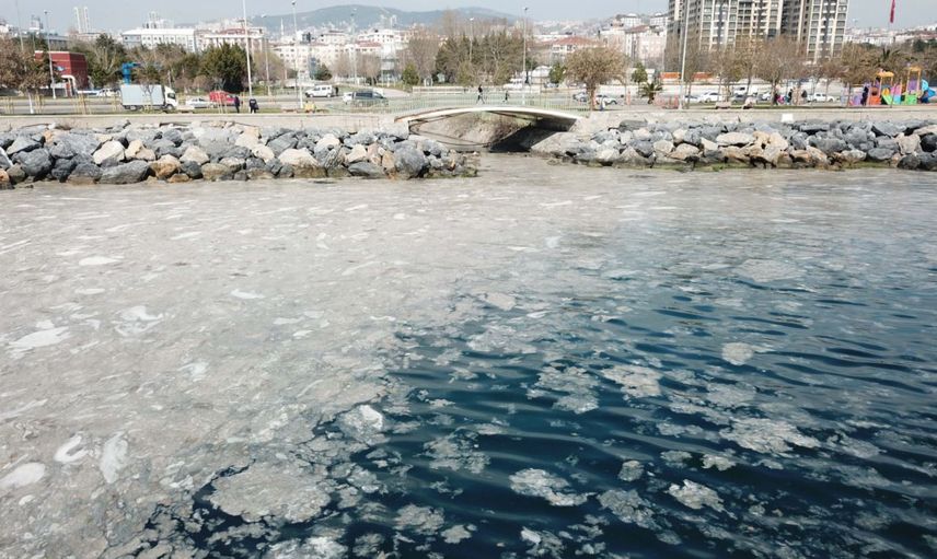Deniz Ürünleri Yiyenlere Kötü Haber!
