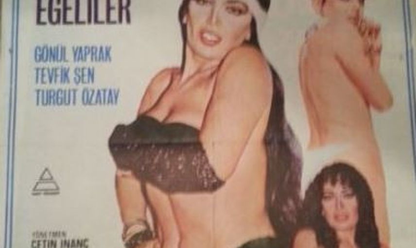 Zerrin Egeliler Kimdir?