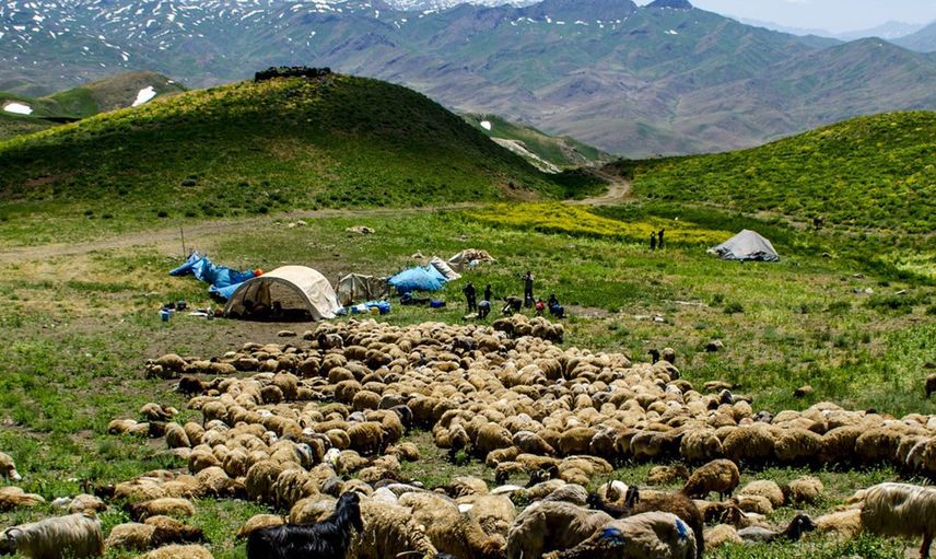 Terör Temizlenen Faraşin Yaylasından Görüntüler Göz Kamaştırdı