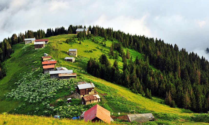 Artvin'de 10 yıl sonra eşini tekrar toprağa verdi!