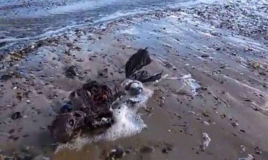 Deniz kızı cesedi kıyıya vurdu, halk ayağa kalktı!