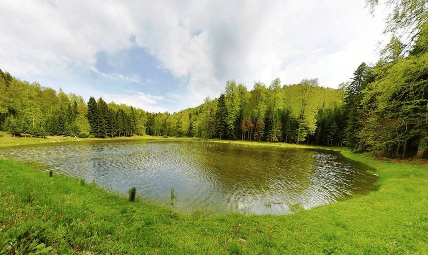 TORKUL GÖLÜ, DÜZCE