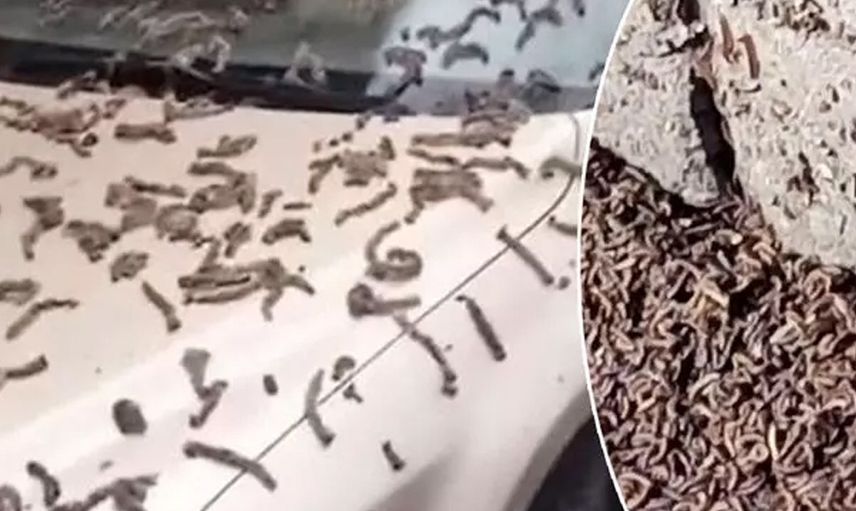 Dünya bu görüntüleri konuşuyor! Gökten yağmur gibi yağdı herkes kıyamet alameti olarak görüyor