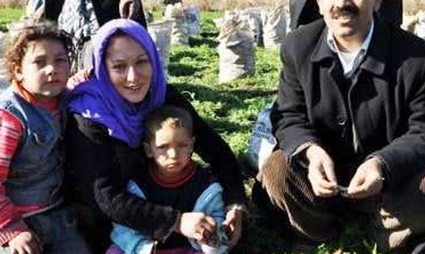 Türkiye'de yaşanmış ilginç kuma olayları