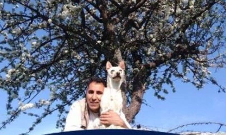 Aydın’da Tatil Yapan İngiliz Turist Servetini Bir Türk Çalışana Bıraktı