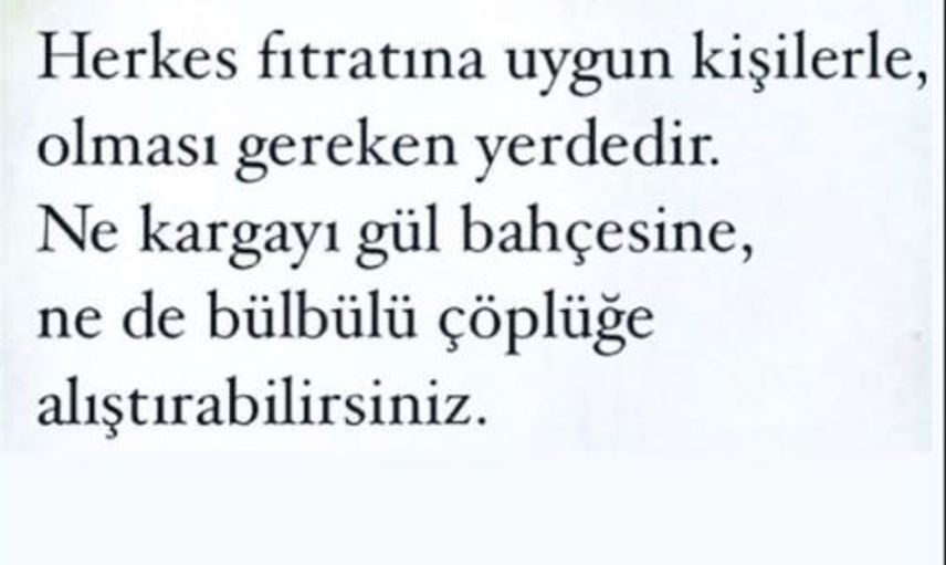 Boşanma Aşamasındayken Aldatıldığını Öğrenen Berdan Mardini Ateş Püskürdü!