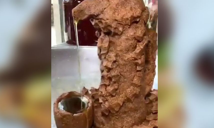 Yemekleri rahat bırakın artık! Karpuz yatağında ahtapot, kuru fasulyeli hamburger...