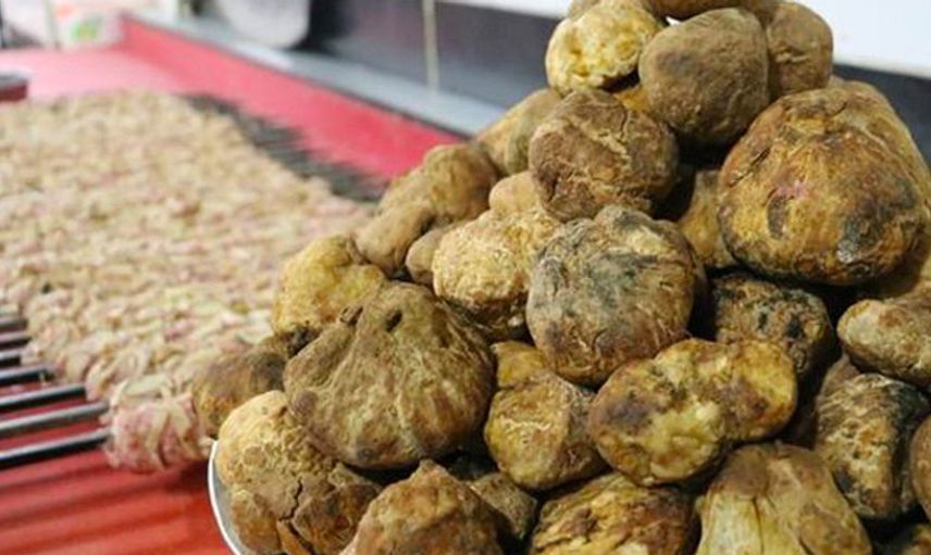 Şanlıurfa’da Keme Mantarını Bulan Köşeyi Dönüyor